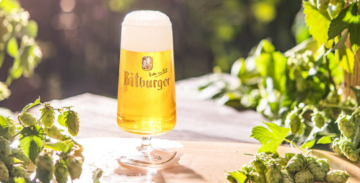 BITBURGER 0,0% DRIVE CERVEZA PREMIUM PILS 500ML EN LATA