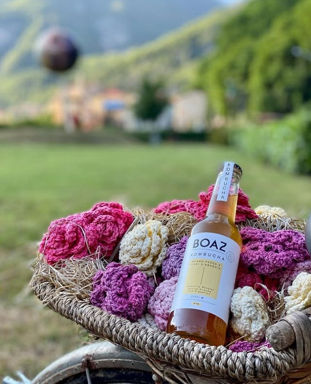 BOAZ KOMBUCHA - MANGO PEACH AND ORANGE BLOSSOM BIO