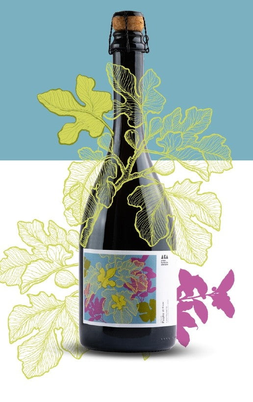 AKA KOMBUCHA - FIG LEAVES