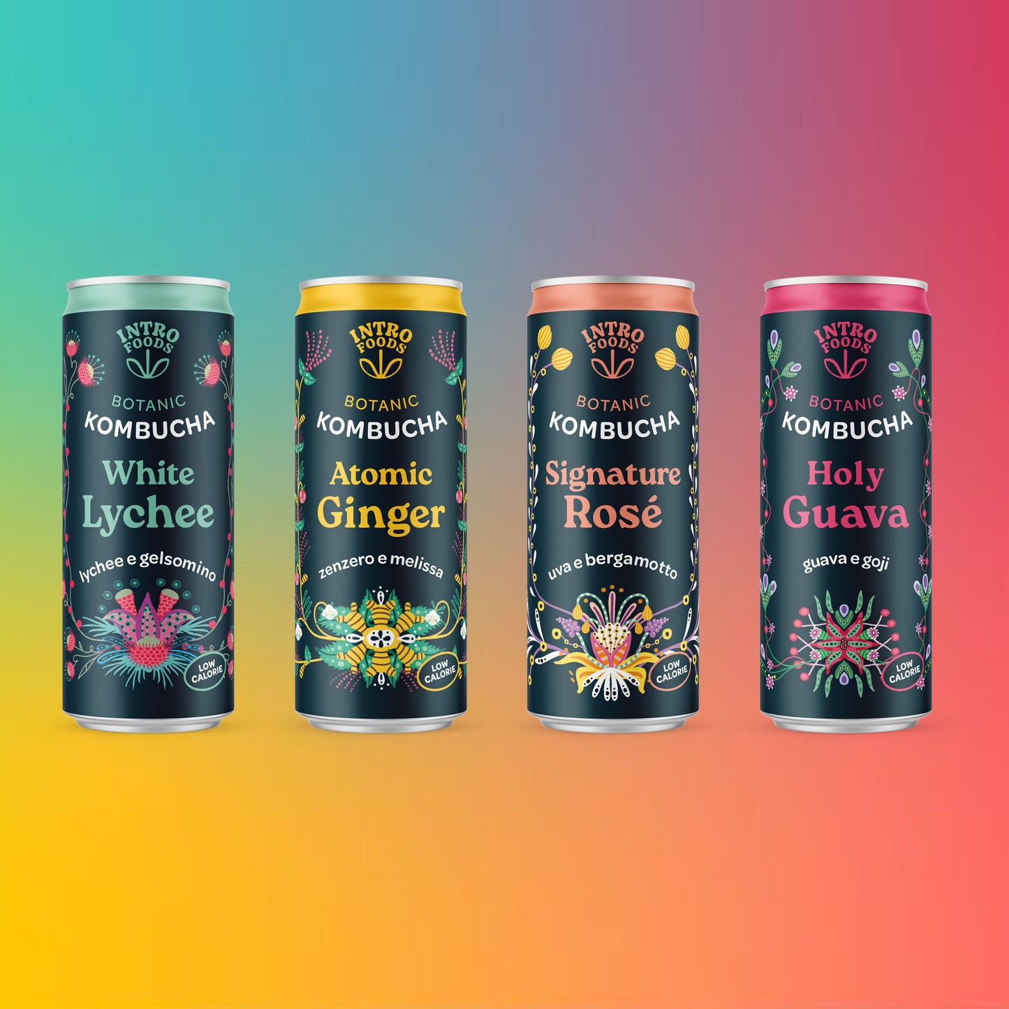 INTRO KOMBUCHA - ATOMIC GINGER APPLE LEMON BALM HEATHER NETTLE BIO CAN