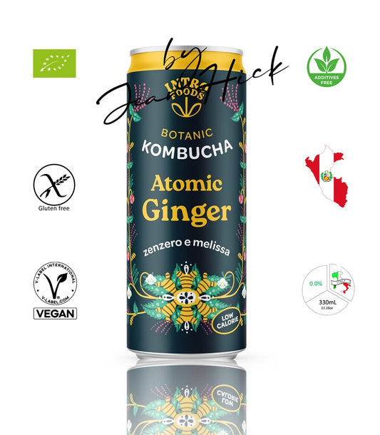 INTRO KOMBUCHA - ATOMIC GINGER APPLE LEMON BALM HEATHER NETTLE BIO CAN