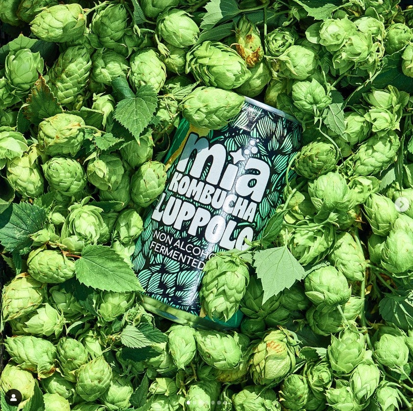 MIA KOMBUCHA - HOPS (LUPPOLO) CAN