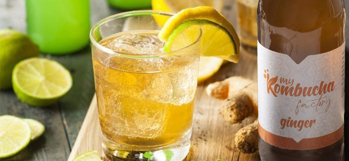 MYKOMBUCHA FACTORY - ORGANIC GINGER