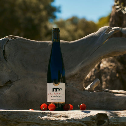 MODERATO° MERLOT–TANNAT — CUVÉE RÉVOLUTIONNAIRE