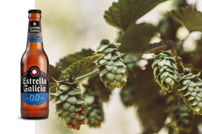 ESTRELLA GALICIA — bière 0,0%