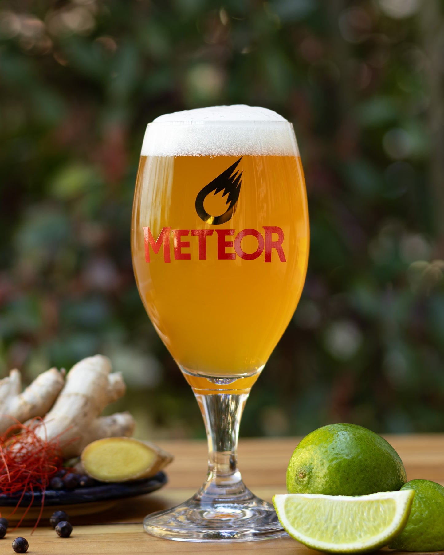 METEOR – BIRRA ARTIGIANALE IPA 0,0%