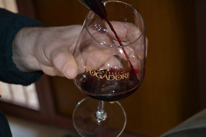 VOGADORI ESSENZA VALPOLICELLA 0,0% - VINO ROSSO FERMO DRY