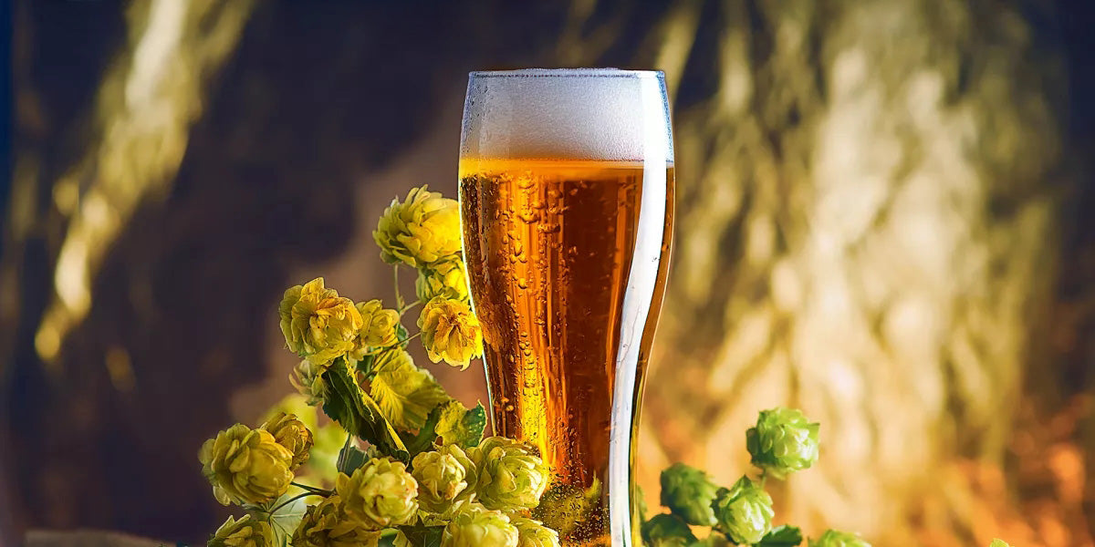 WALDHAUS — alcohol-free hefe weizen