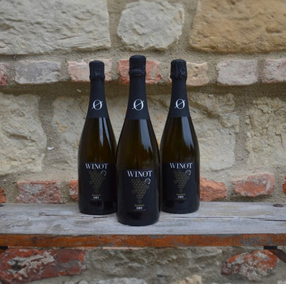 WINOT BIANCO DRY 0.0% - PREMIUM WHITE SPARKLING WINE FROM PIEDMONT